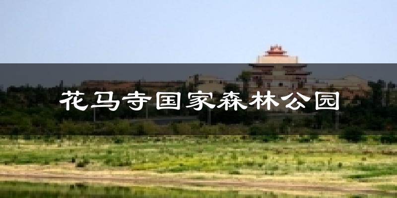 花马寺国家森林公园气温