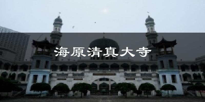 海原清真大寺气温